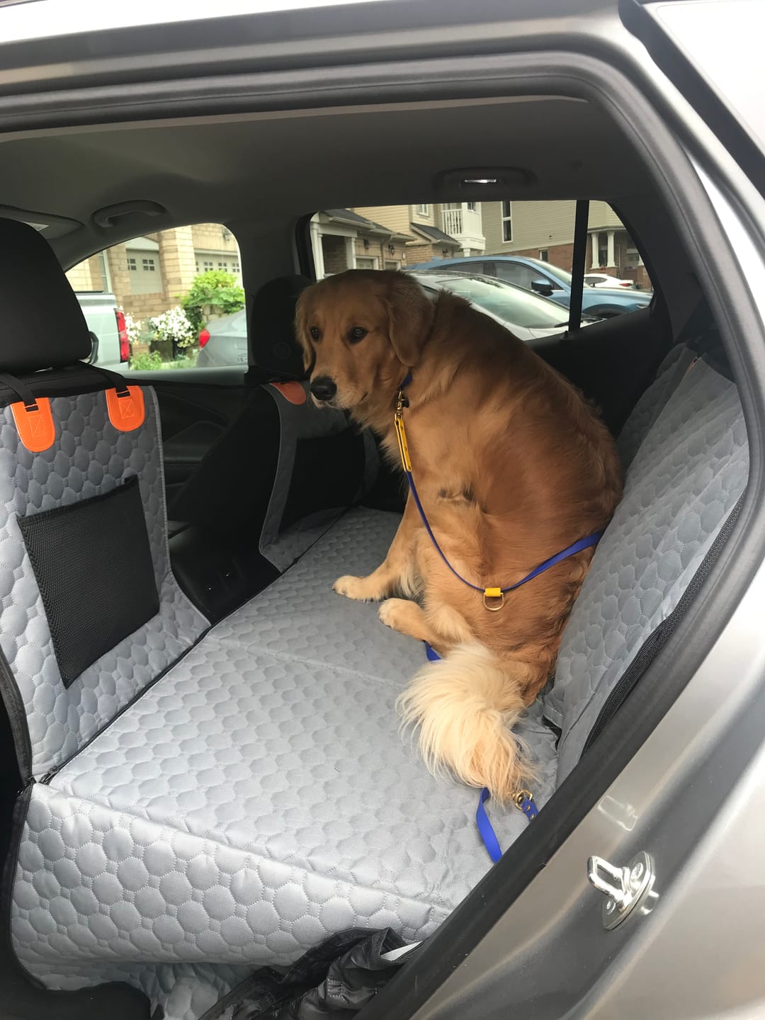 Review by Michael Johnson