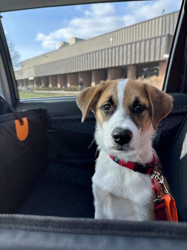 Review by Sarah Martinez